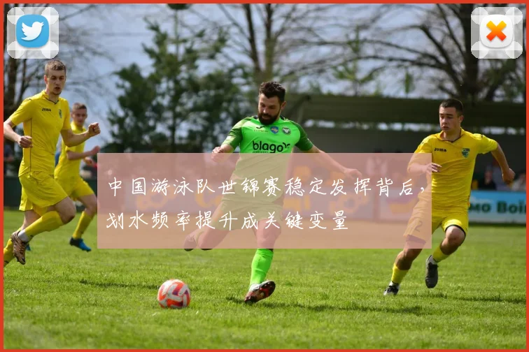 中国游泳队世锦赛稳定发挥背后，划水频率提升成关键变量