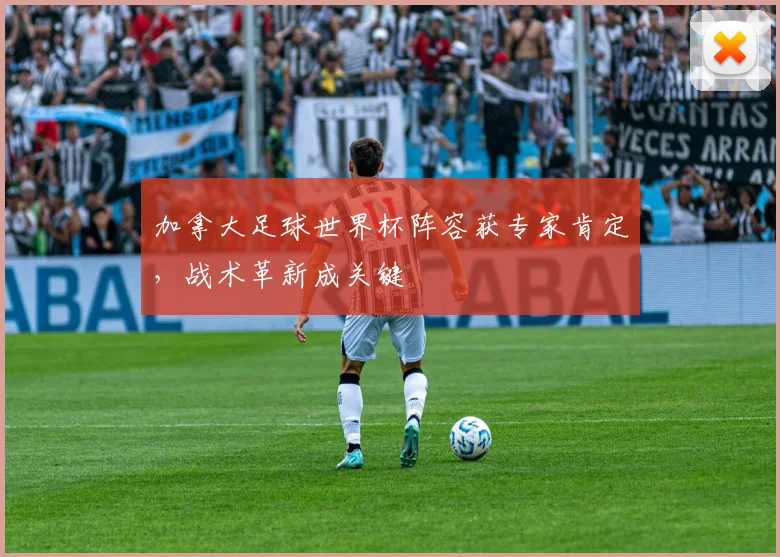 加拿大足球世界杯阵容获专家肯定，战术革新成关键