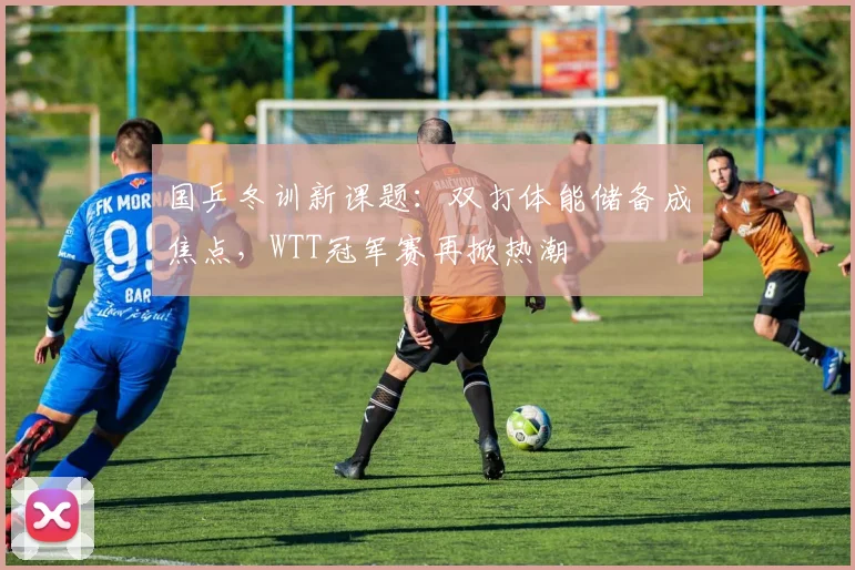 国乒冬训新课题：双打体能储备成焦点，WTT冠军赛再掀热潮
